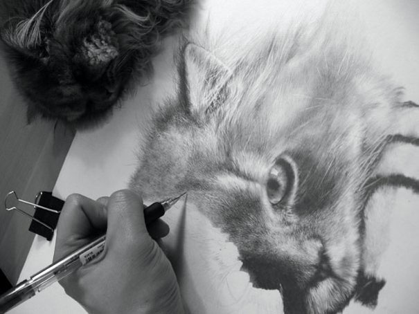 Hand creating hyper-realistic cat artwork with pencil; actual cat beside drawing.