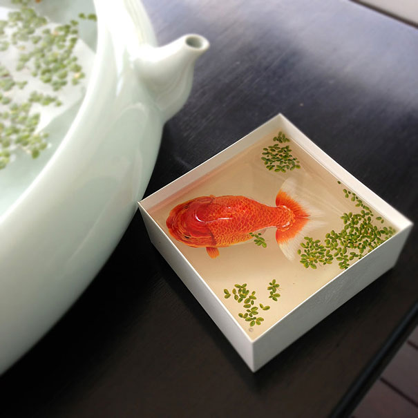 Hyper-realistic artwork of a goldfish in a box with green algae, resembling a photograph.