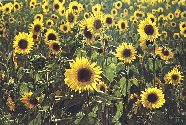 Hyper Realistic Paintings That Look Like Photos Hyper Realistic Paintings That Look Like Photos