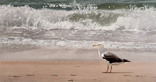 Hyper Realistic Paintings That Look Like Photos Hyper Realistic Paintings That Look Like Photos