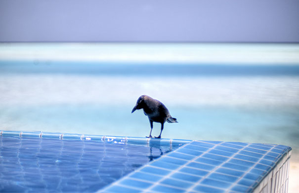 30 Amazing Infinity Pools Around The World