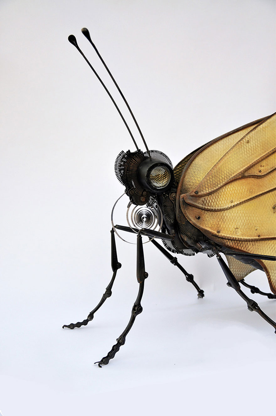 Artist Creates Amazing Insect Sculptures Using Nothing But Old Car Parts and Scrap Metal Artist Creates Amazing Insect Sculptures Using Nothing But Old Car Parts and Scrap Metal