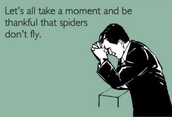 29 Happy Animal Facts That Will Make You Smile