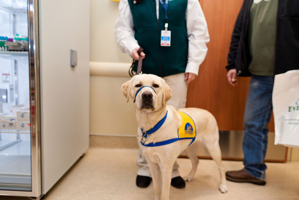 29 Happy Animal Facts That Will Make You Smile 29 Happy Animal Facts That Will Make You Smile