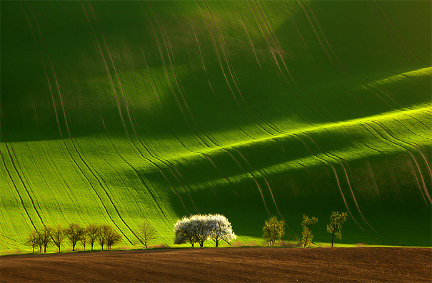 50 Mind-Blowing Examples of Landscape Photography 50 Mind-Blowing Examples of Landscape Photography