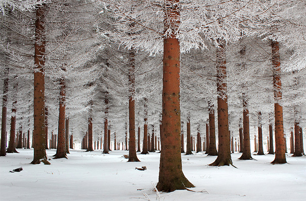 50 Mind-Blowing Examples of Landscape Photography