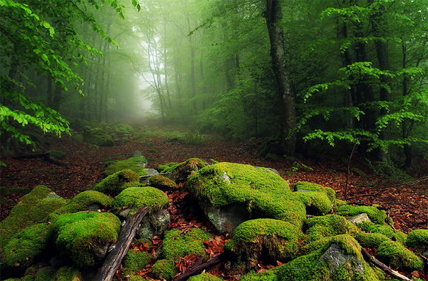 50 Mind-Blowing Examples of Landscape Photography