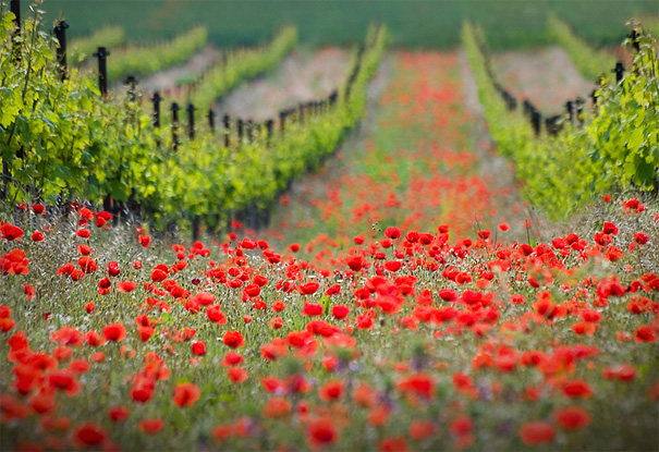 50 Mind-Blowing Examples of Landscape Photography