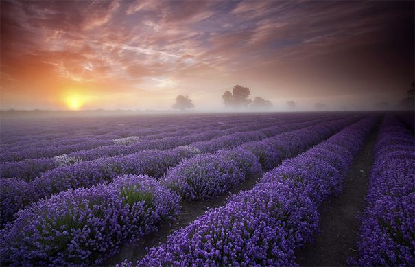 50 Mind-Blowing Examples of Landscape Photography 50 Mind-Blowing Examples of Landscape Photography