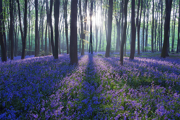 50 Mind-Blowing Examples of Landscape Photography 50 Mind-Blowing Examples of Landscape Photography