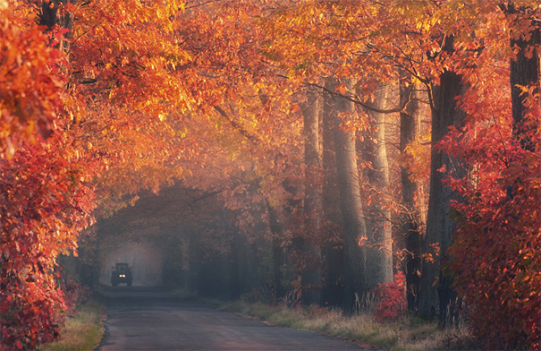 50 Mind-Blowing Examples of Landscape Photography