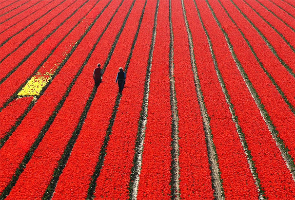 50 Mind-Blowing Examples of Landscape Photography 50 Mind-Blowing Examples of Landscape Photography