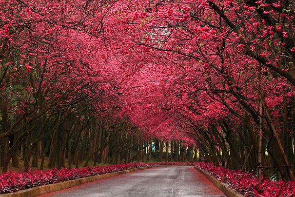 50 Mind-Blowing Examples of Landscape Photography