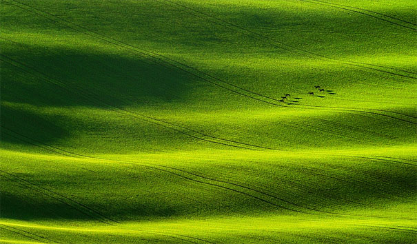 50 Mind-Blowing Examples of Landscape Photography