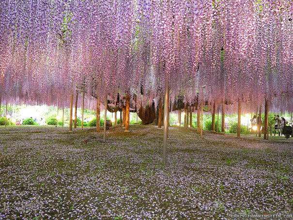 50 Mind-Blowing Examples of Landscape Photography