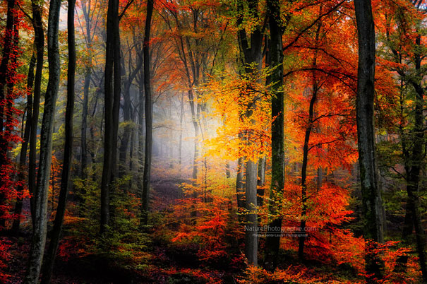 50 Mind-Blowing Examples of Landscape Photography