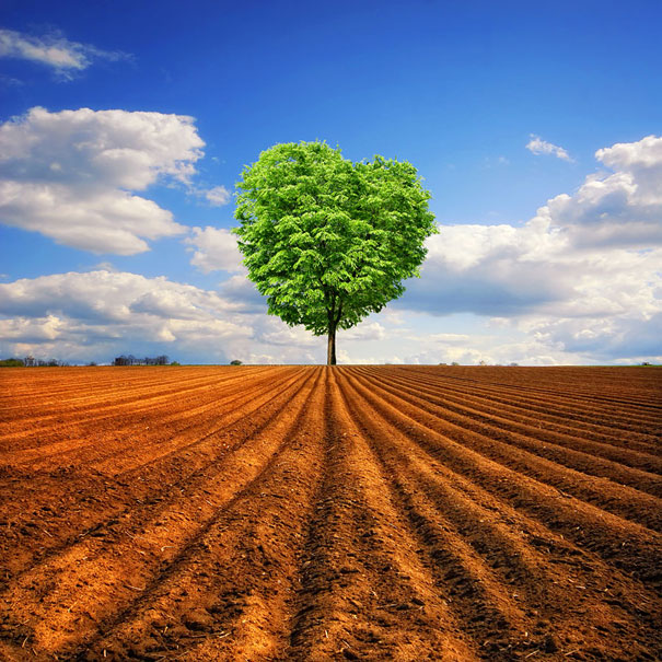 50 Mind-Blowing Examples of Landscape Photography