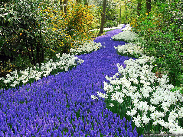 50 Mind-Blowing Examples of Landscape Photography