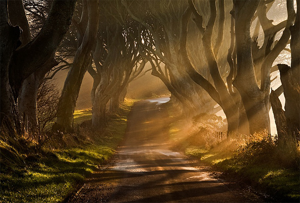 50 Mind-Blowing Examples of Landscape Photography