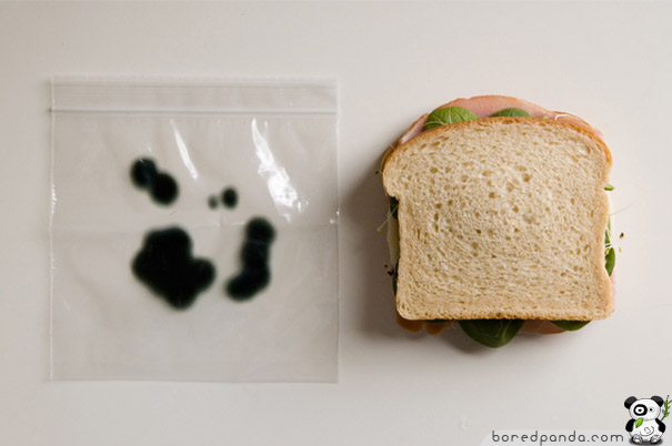 Sandwich bag with spots and a normal sandwich Sandwich bag with spots and a normal sandwich