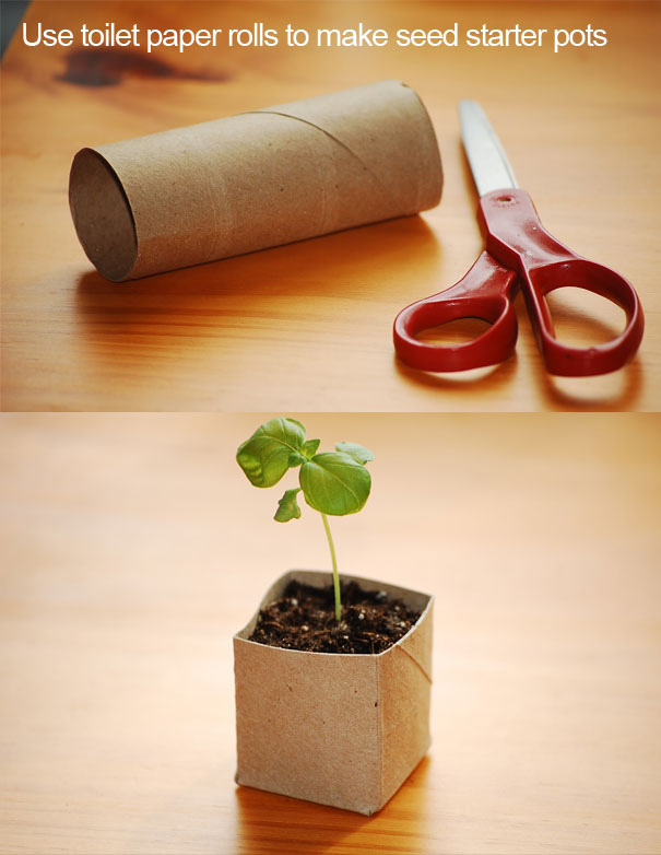 Carboard and scissors made into a small pot 