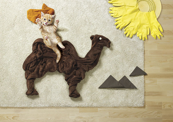 Puppies and Kittens Have Imaginative Adventures With Household Objects