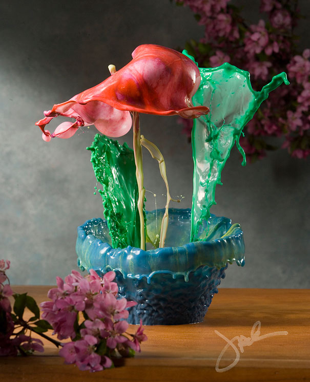 Incredible Water Splash Flowers by Jack Long Incredible Water Splash Flowers by Jack Long