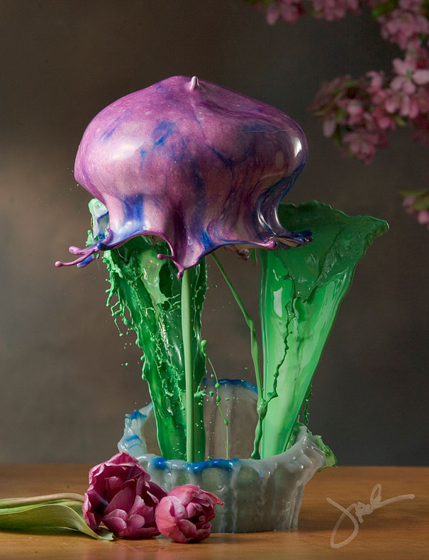 Incredible Water Splash Flowers by Jack Long