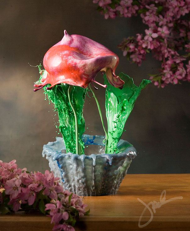 Incredible Water Splash Flowers by Jack Long