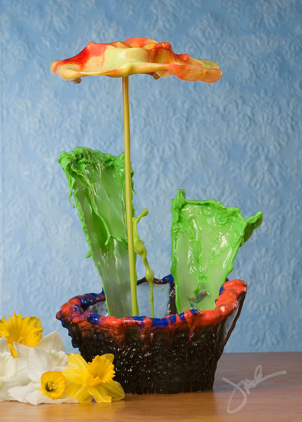 Incredible Water Splash Flowers by Jack Long Incredible Water Splash Flowers by Jack Long