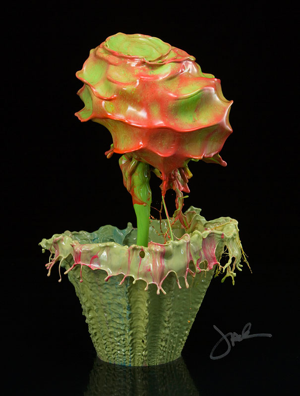 Incredible Water Splash Flowers by Jack Long