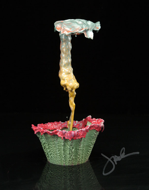 Incredible Water Splash Flowers by Jack Long