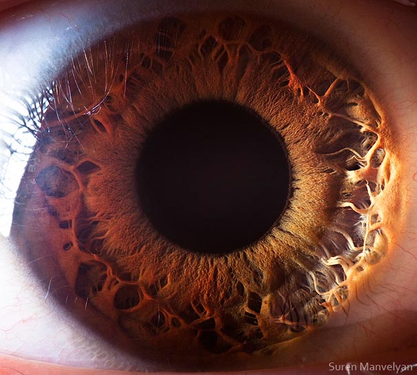 Extreme Close-Ups of the Human Eye Extreme Close-Ups of the Human Eye