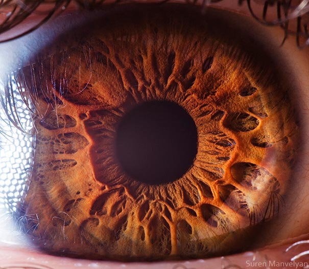 Extreme Close-Ups of the Human Eye Extreme Close-Ups of the Human Eye