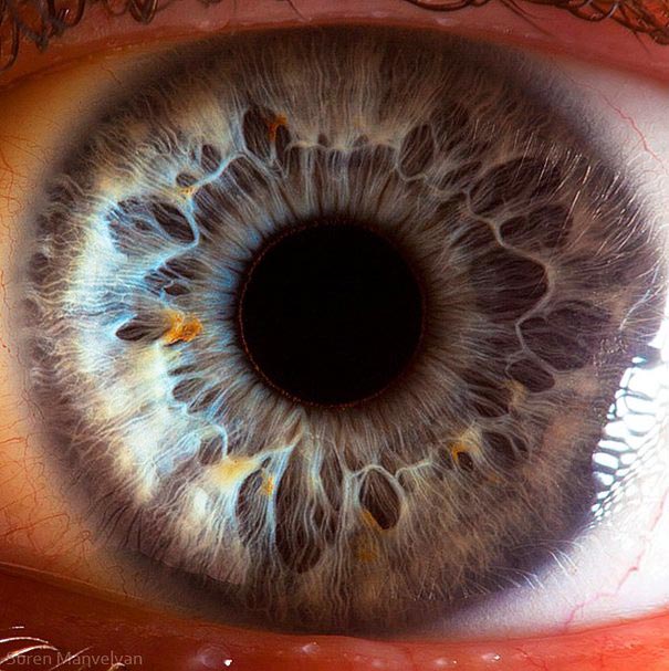 Extreme Close-Ups of the Human Eye Extreme Close-Ups of the Human Eye