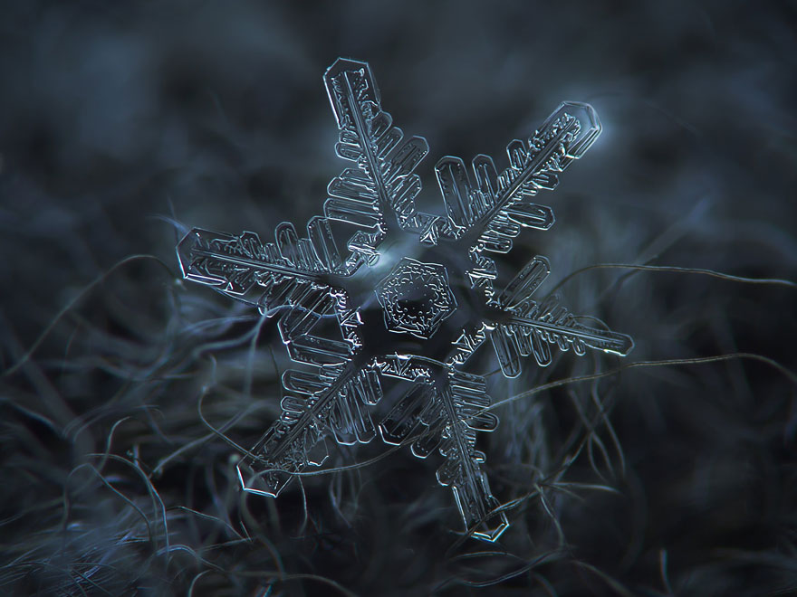 Photographer Uses Cheap Home-Made Camera Rig To Take Stunning Close-Ups of Snowflakes Photographer Uses Cheap Home-Made Camera Rig To Take Stunning Close-Ups of Snowflakes