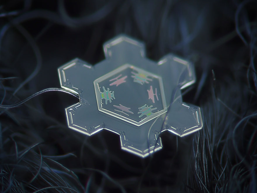 Photographer Uses Cheap Home-Made Camera Rig To Take Stunning Close-Ups of Snowflakes