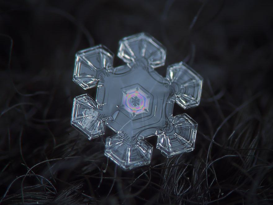 Photographer Uses Cheap Home-Made Camera Rig To Take Stunning Close-Ups of Snowflakes Photographer Uses Cheap Home-Made Camera Rig To Take Stunning Close-Ups of Snowflakes