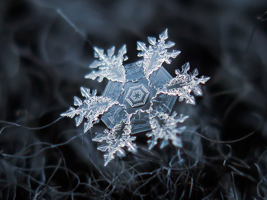 Photographer Uses Cheap Home-Made Camera Rig To Take Stunning Close-Ups of Snowflakes Photographer Uses Cheap Home-Made Camera Rig To Take Stunning Close-Ups of Snowflakes