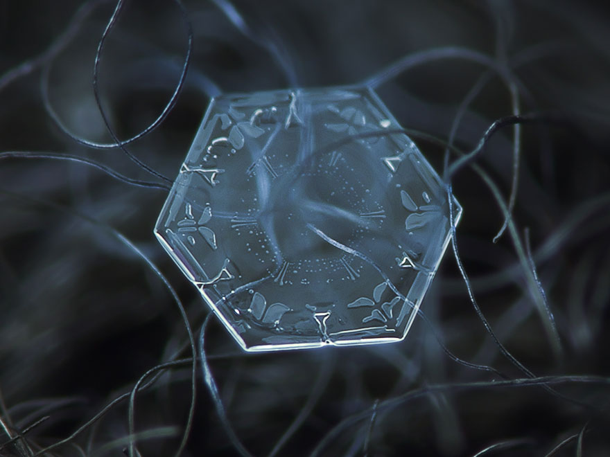 Photographer Uses Cheap Home-Made Camera Rig To Take Stunning Close-Ups of Snowflakes