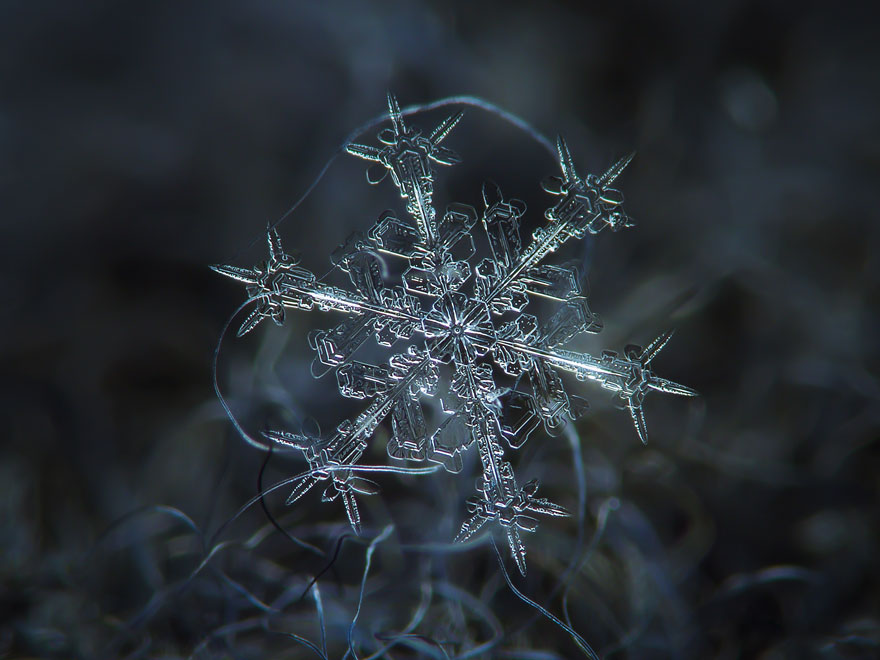 Photographer Uses Cheap Home-Made Camera Rig To Take Stunning Close-Ups of Snowflakes Photographer Uses Cheap Home-Made Camera Rig To Take Stunning Close-Ups of Snowflakes