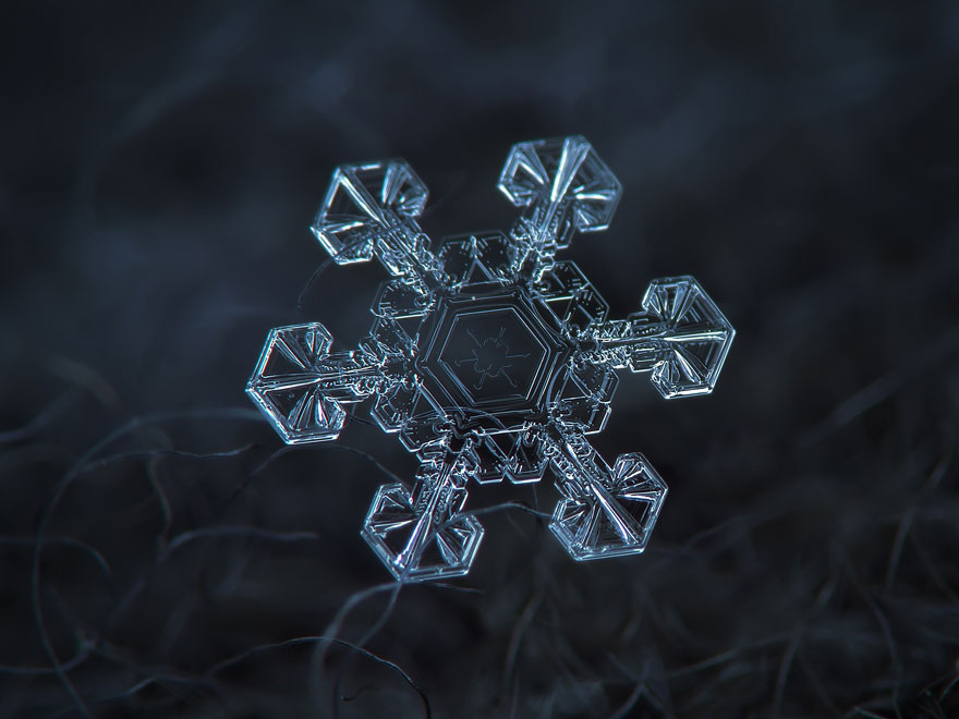 Photographer Uses Cheap Home-Made Camera Rig To Take Stunning Close-Ups of Snowflakes