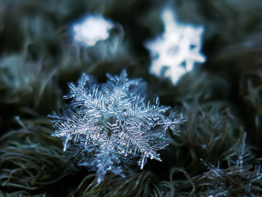 Photographer Uses Cheap Home-Made Camera Rig To Take Stunning Close-Ups of Snowflakes Photographer Uses Cheap Home-Made Camera Rig To Take Stunning Close-Ups of Snowflakes