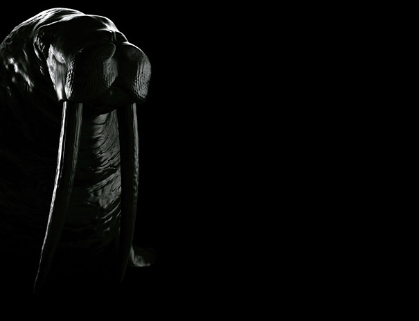 Frighteningly Realistic Animal Chairs by Maximo Riera Frighteningly Realistic Animal Chairs by Maximo Riera