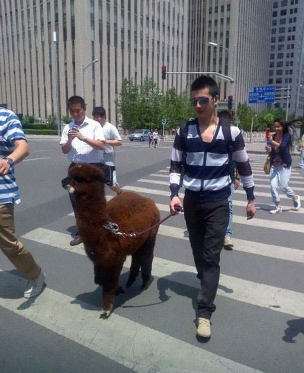 25 People That Might Be The Biggest Hipsters Ever