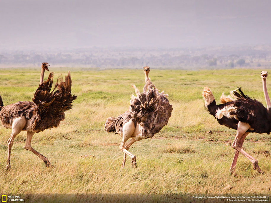25 Stunning Entries for National Geographic Traveler Photo Contest 2012 25 Stunning Entries for National Geographic Traveler Photo Contest 2012