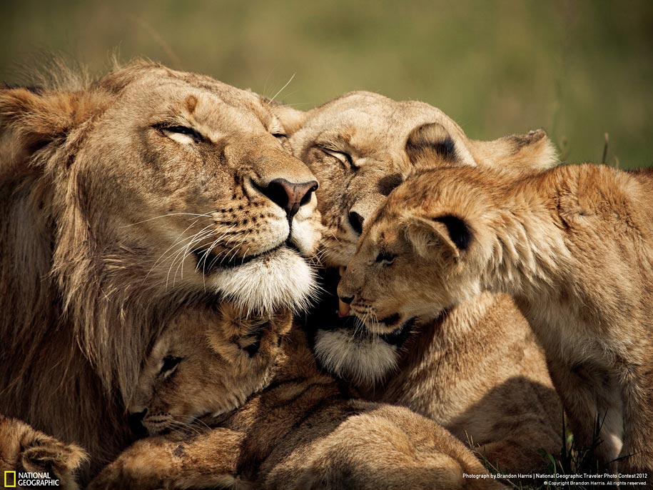 25 Stunning Entries for National Geographic Traveler Photo Contest 2012 25 Stunning Entries for National Geographic Traveler Photo Contest 2012