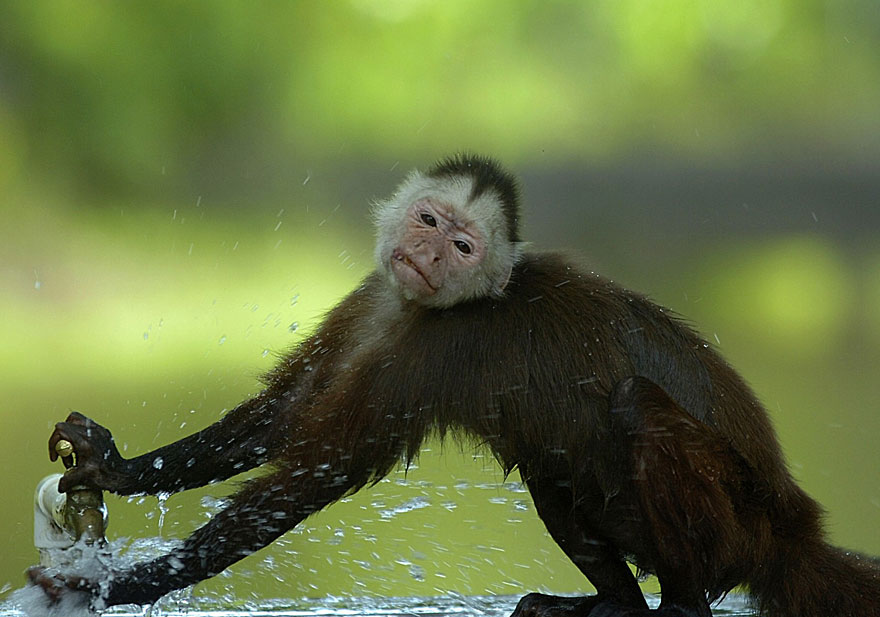 22 Best Wildlife Photos From National Geographic Traveler Photo Contest 22 Best Wildlife Photos From National Geographic Traveler Photo Contest