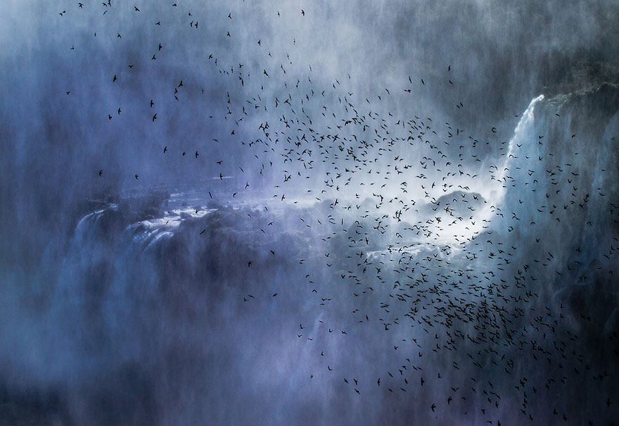 22 Best Wildlife Photos From National Geographic Traveler Photo Contest 22 Best Wildlife Photos From National Geographic Traveler Photo Contest