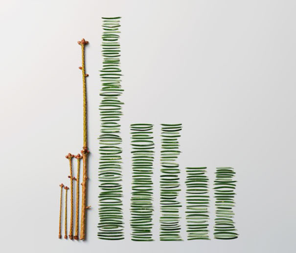 The Art of Clean Up by Ursus Wehrli The Art of Clean Up by Ursus Wehrli